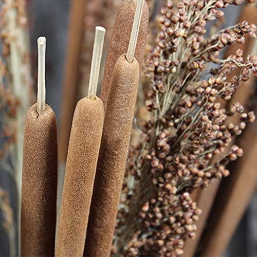 40 Pcs Dried Natural Cattails for Decor and Arrangements
