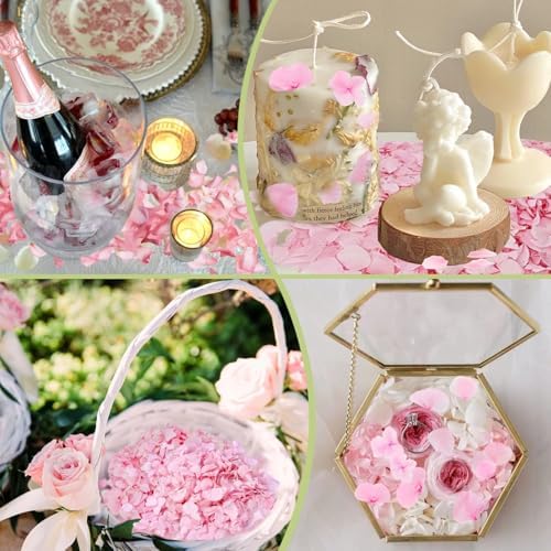1500Pcs Real Hydrangea Pink Dried Flower Petals