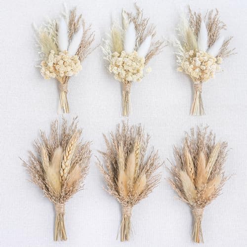 Mini Dried Flower Bouquet Pack of 6 Grey