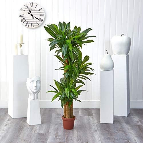 Nearly Natural 62 Inch Artificial Corn Stalk Dracaena Plant