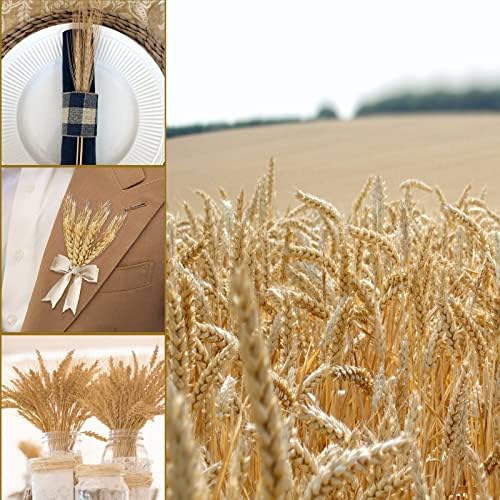 Uieke 177 Inch Dried Wheat Stalks for Fall Decor