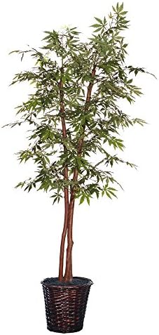 Vickerman Artificial Green Rattan Tree 7 Foot