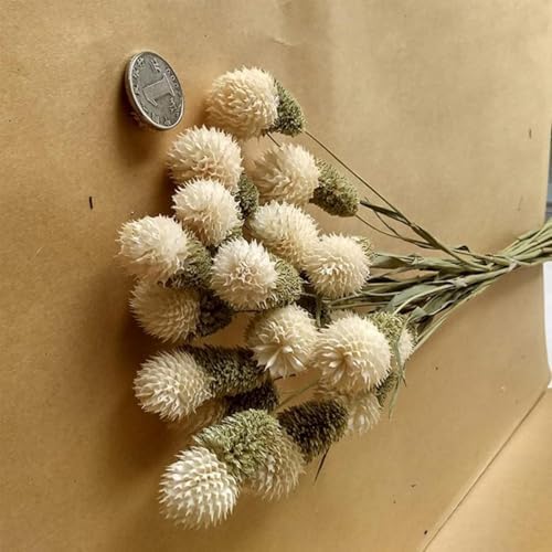 OXCOWNIU Flowers Natural Dried Berries Wedding Bouquet Home Decor