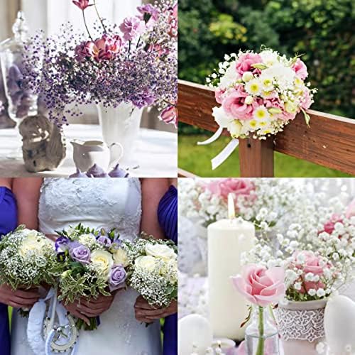 Preserved Babys Breath Flowers 3 Bunches Purple