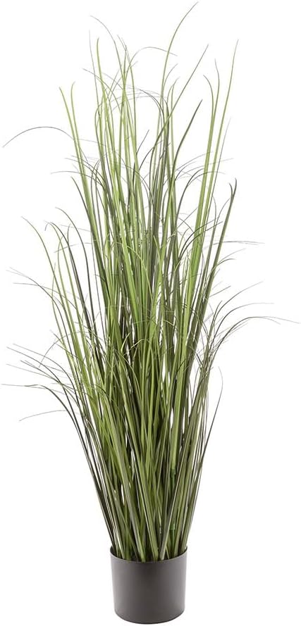 Naturae Decor Black Grass Plant 47 in High