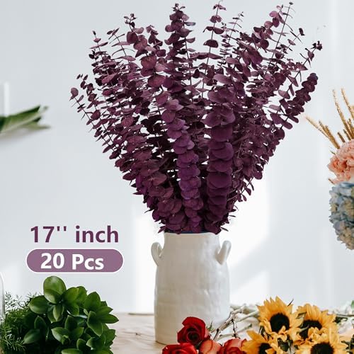 Kocat 20PCS Burgundy Eucalyptus Stems - Dried Preserved Real