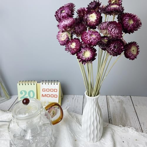 100 Natural Daisy Flowers Bouquets 30 Pcs 17 Inch Decor