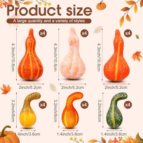 Geelin 24 Pcs Artificial Pumpkin Gourd Fall Decor Set