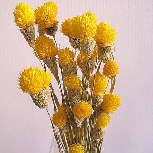 OXCOWNIU Flowers Natural Dried Berries Wedding Bouquet Home Decor