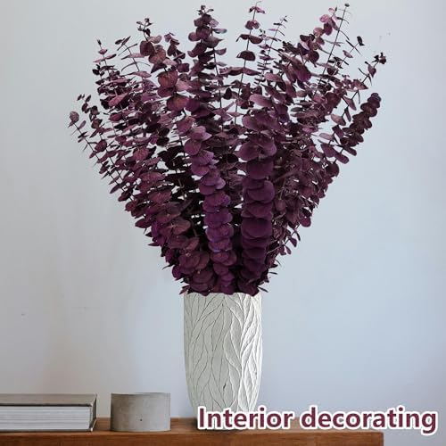 Kocat 20PCS Burgundy Eucalyptus Stems - Dried Preserved Real