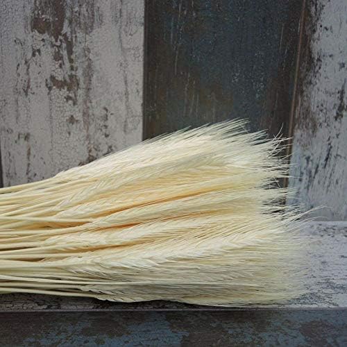 Natural Wheat Ears Bouquet for Home Decor 25pcs Beige