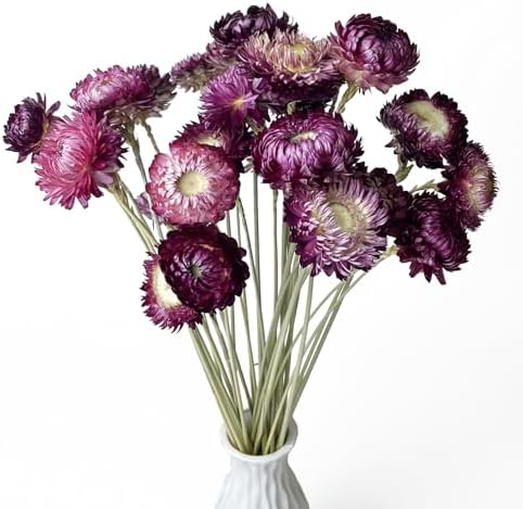 100 Natural Daisy Flowers Bouquets 30 Pcs 17 Inch Decor