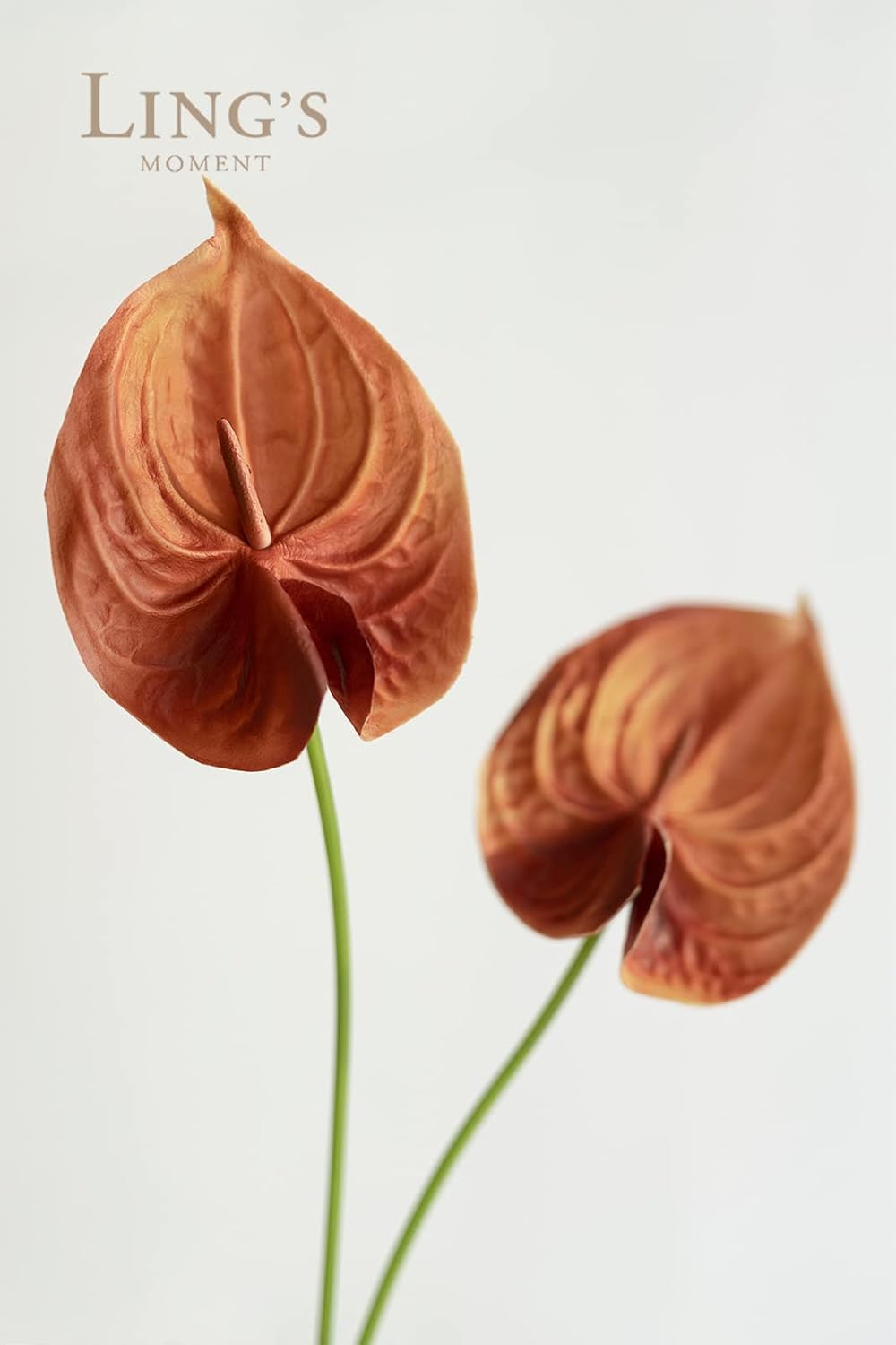 Lings Moment Artificial Anthurium Flowers 8pcs