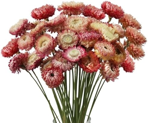 MIHUAGE Dried Flower Bouquet 40PCS Light Purple Chrysanthemum