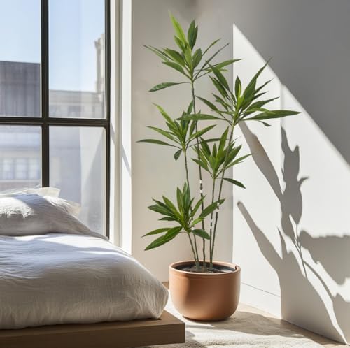 Artificial Cordyline Plant 6 Ft Tall with Pot