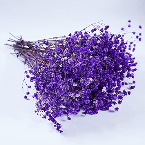 Preserved Babys Breath Flowers 3 Bunches Purple