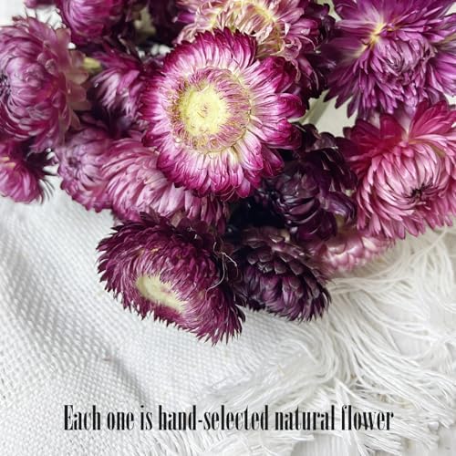100 Natural Daisy Flowers Bouquets 30 Pcs 17 Inch Decor