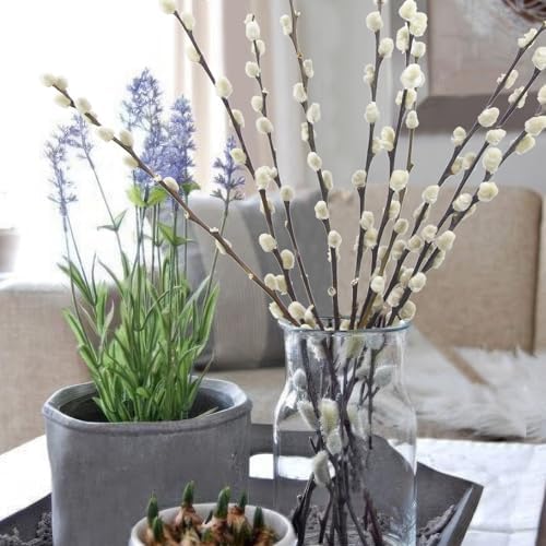 10 Pcs Real Pussy Willow Branches for Vases Decor