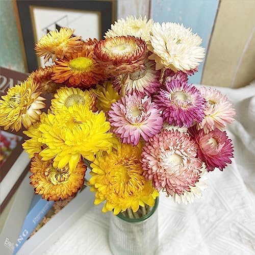 LBREVOGA Dried Flower Bouquets 16 Piece Pink White
