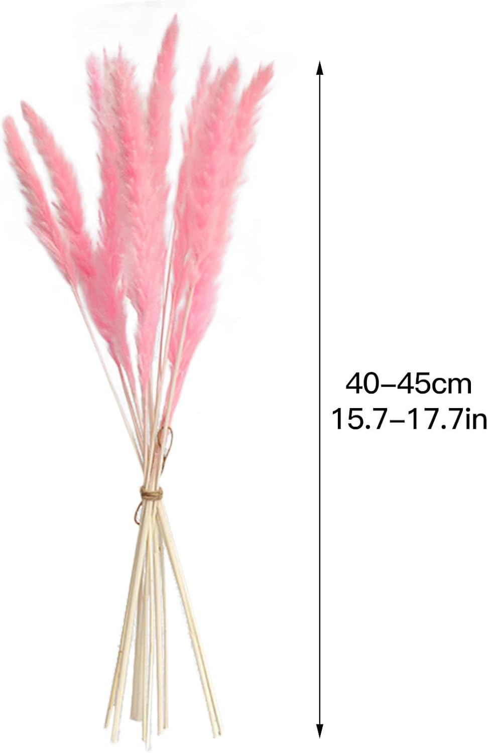45 PCS Natural Dried Pampas Grass Wedding Decor