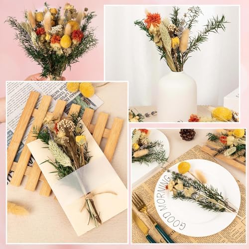 Natural Dried Flower Bouquets for Vase and Decor