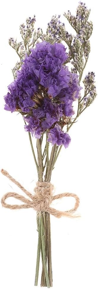 20 PCS Mini Dried Flowers Bouquet Set