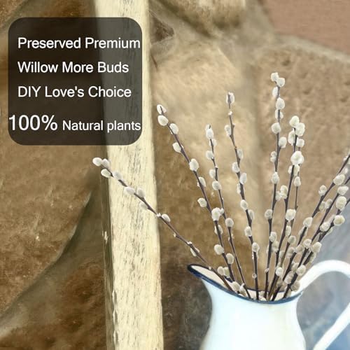 10 Pcs Real Pussy Willow Branches for Vases Decor