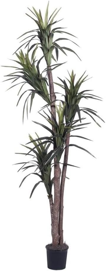 Vickerman Artificial Marginata Executive Tree 65 Feet