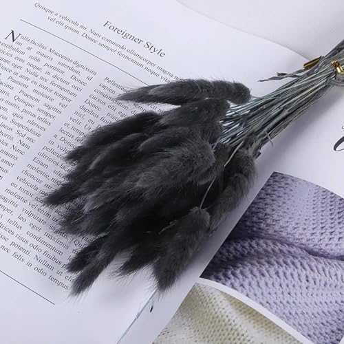 Dried Bunny Tail Flowers 100Pcs Real Natural Boho Decor