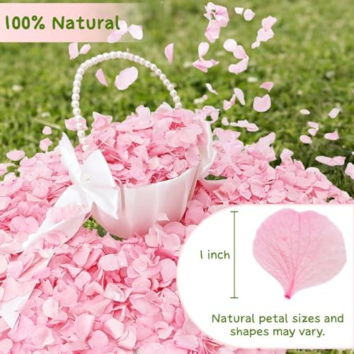 1500Pcs Real Hydrangea Pink Dried Flower Petals