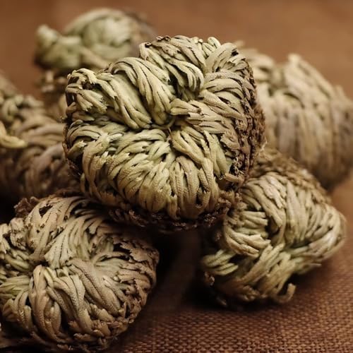 5 Pack Big 35 Inch Rose of Jericho Resurrection Plants