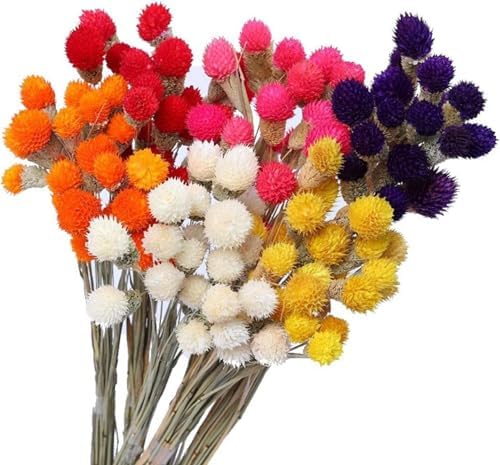 OXCOWNIU Flowers Natural Dried Berries Wedding Bouquet Home Decor