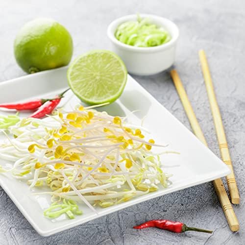 Ciieeo Realistic Bean Sprout Photo Props 50pcs