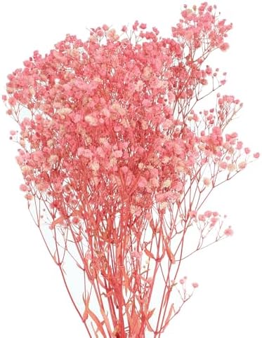 MECCANIXITY Artificial Dried Babys Breath Flowers 17 Inches Light Pink