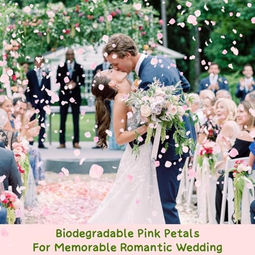 1500Pcs Real Hydrangea Pink Dried Flower Petals
