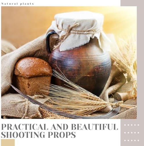 Geosar 600 Dried Wheat Stalks Decor Bundle