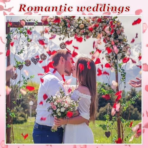 240PCS Real Red Rose Petals Confetti for Weddings and Celebrations