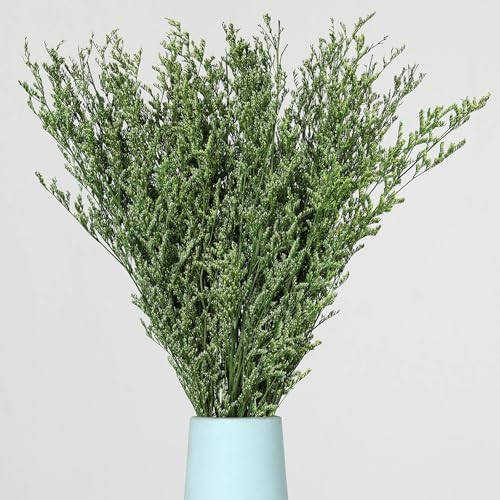 Natural Dried Flowers Bouquet 17 Lavender Babys Breath Wedding Decor