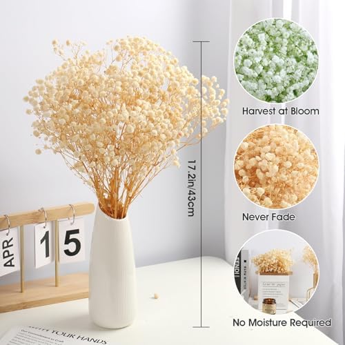 MIHUAGE Dried Flowers Bundles White Babys Breath Gypsophila Wedding Decor