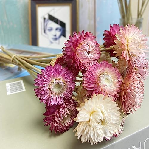 LBREVOGA Dried Flower Bouquets 16 Piece Pink White