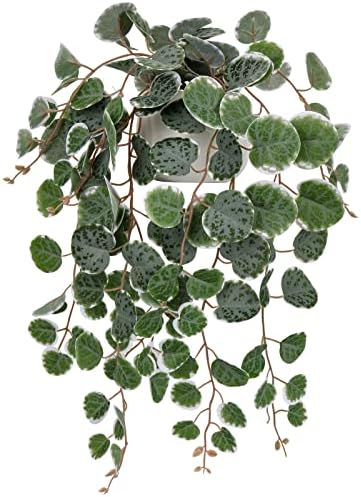 Briful Artificial String of Hearts Plants 16 with Ceramic Pot