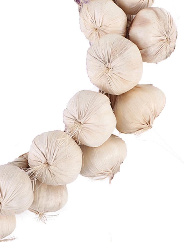 Leadigol Artificial Garlic String for Home Decor
