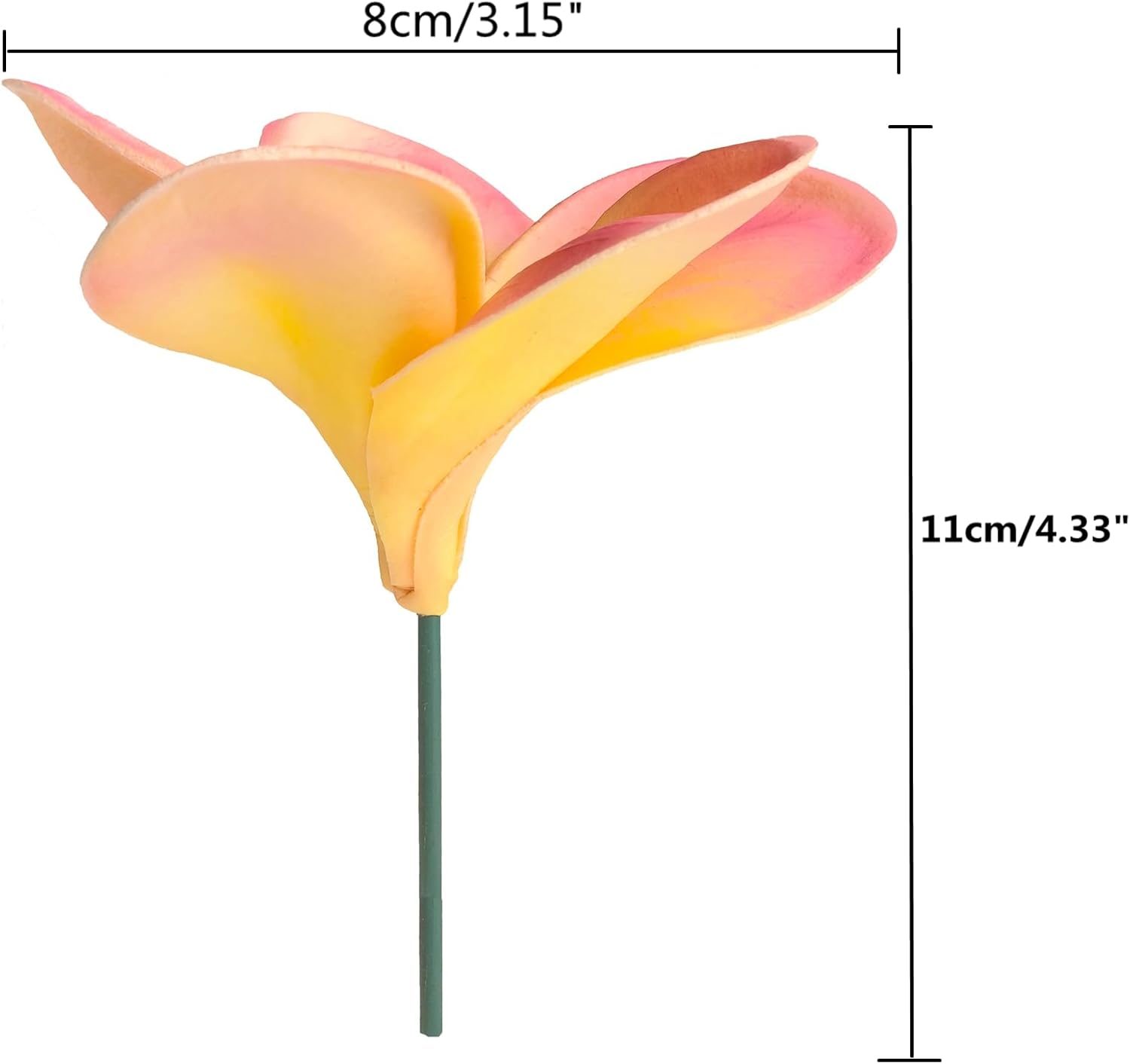 10PCS Real Touch Artificial Plumeria Flowers with Stem Apricot