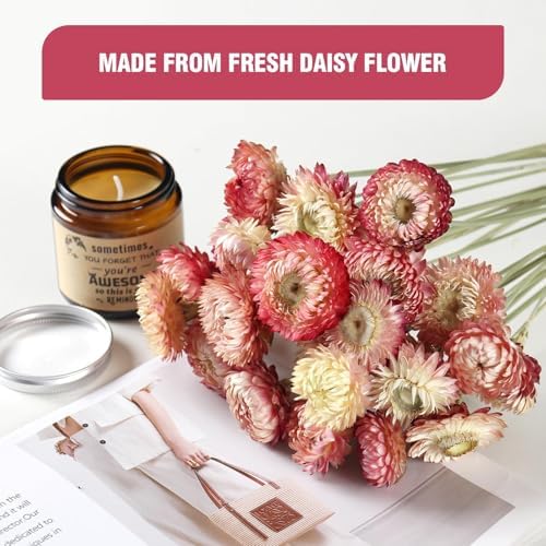MIHUAGE Dried Flower Bouquet 40PCS Light Purple Chrysanthemum