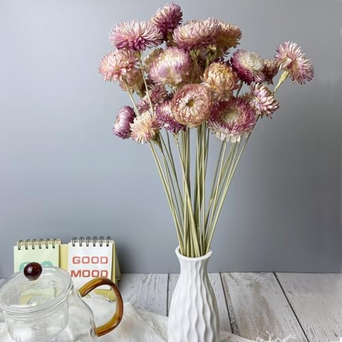 100 Natural Daisy Flowers Bouquets 30Pcs Pink Daisies Chrysanthemums