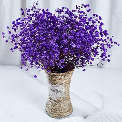 Preserved Babys Breath Flowers 3 Bunches Purple