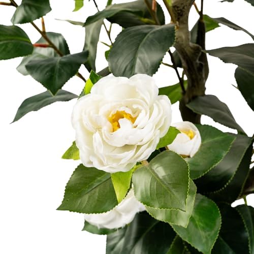 Artificial Camellia Tree 2 Pack White 2FT Cement Pot Decor