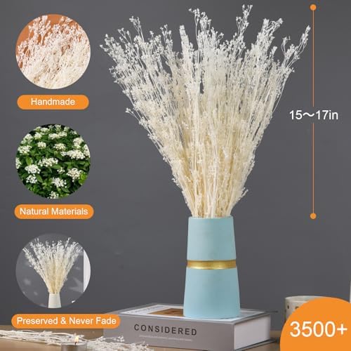 Tavkite Dried White Babys Breath Bouquet 17 Inch