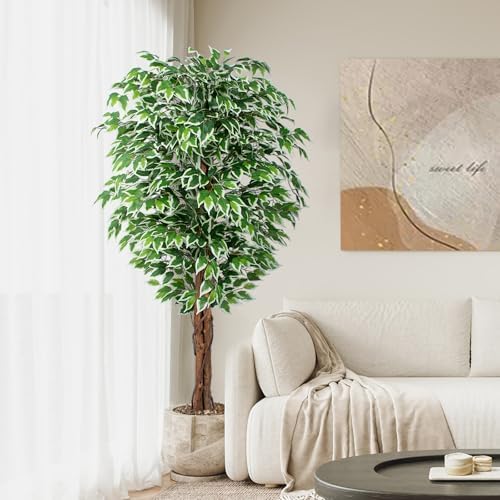 62ft Ficus Artificial Tree with 3 Curved Trunks