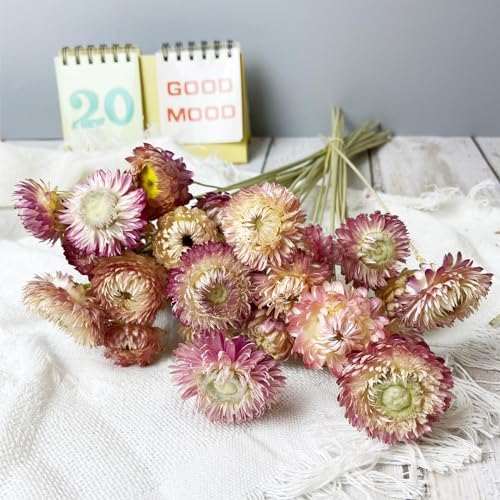 100 Natural Daisy Flowers Bouquets 30Pcs Pink Daisies Chrysanthemums